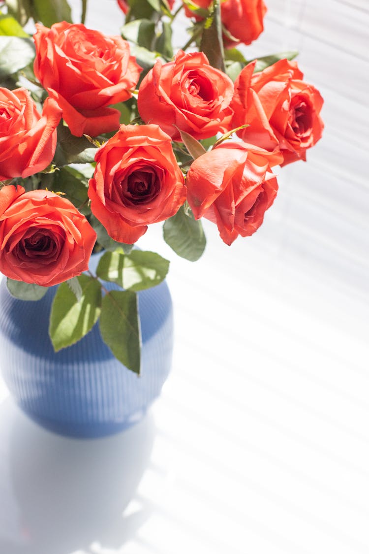 Vase Of Red Roses