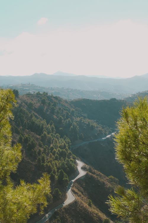 Foto profissional grátis de estrada, floresta, montanhas