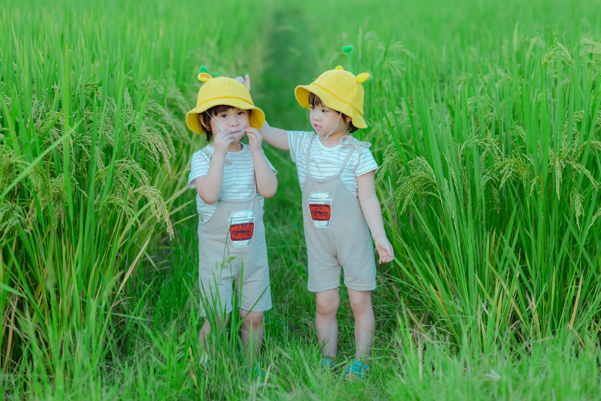 Cute Twin Sisters in Summer Countryside