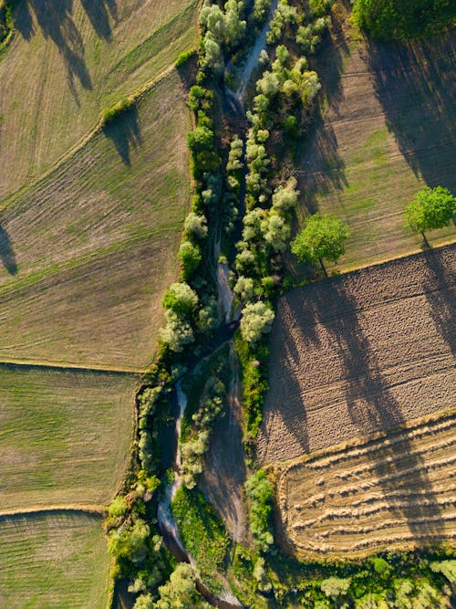 경치, 농업, 비포장 도로의 무료 스톡 사진