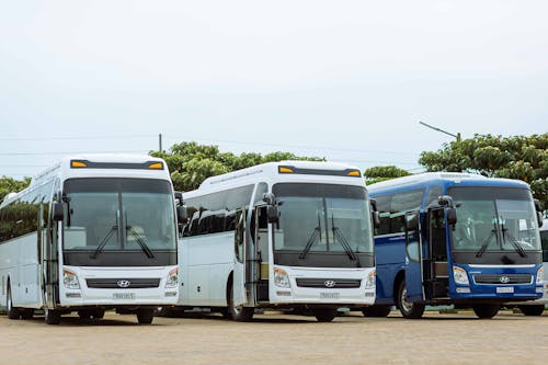 Choice of Hyundai Buses