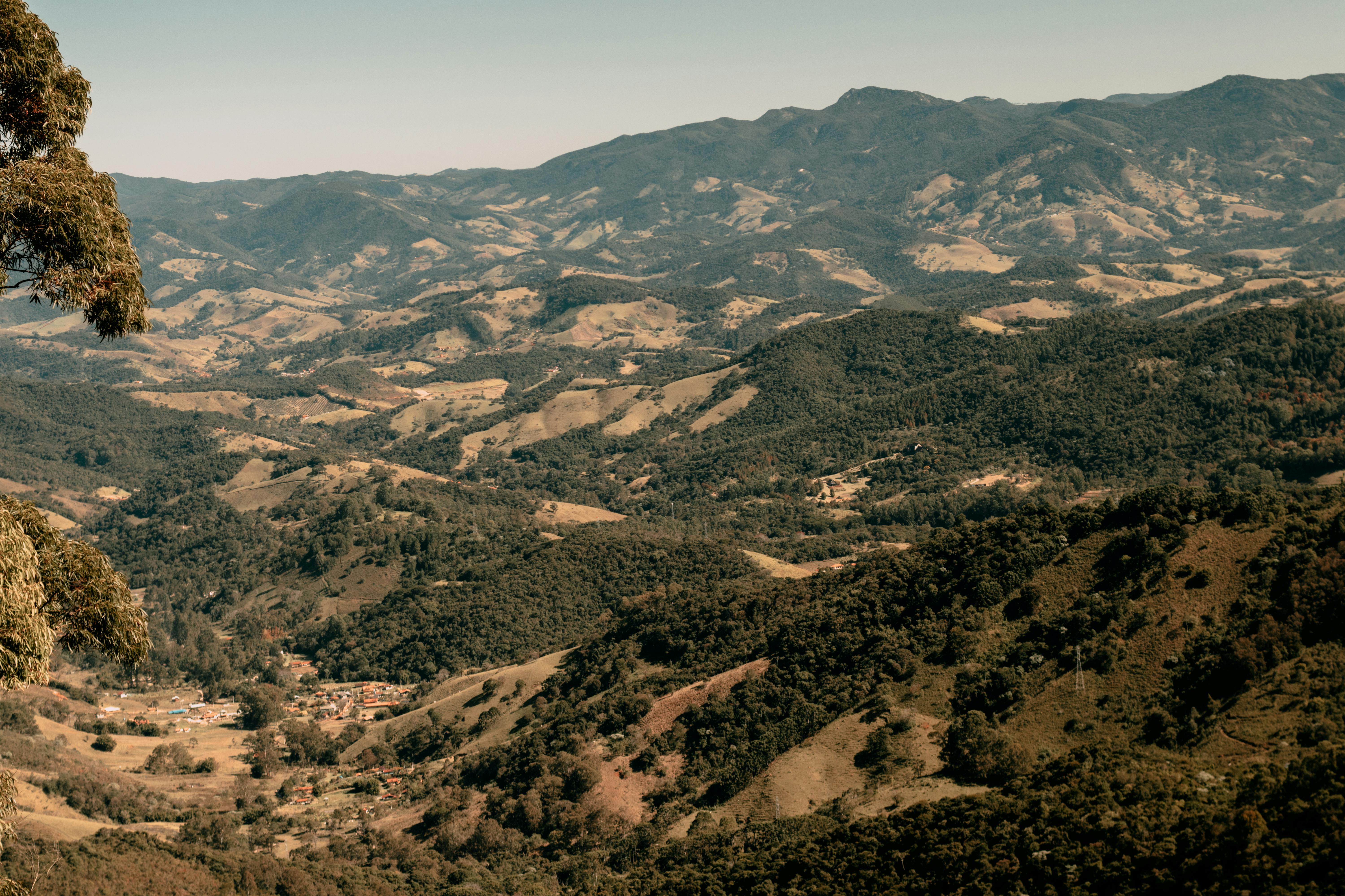 Indicação Geográfica Reconhece Qualidade dos Cafés da Região da Serra da Mantiqueira