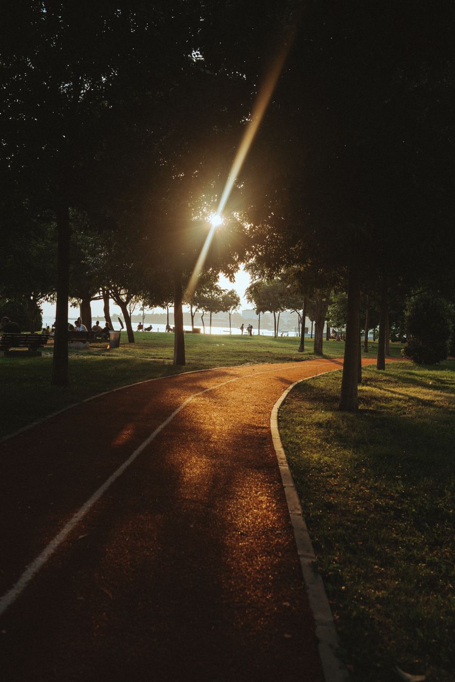 Gece, bir parkın içinden geçen lambalarla aydınlatılmış yol