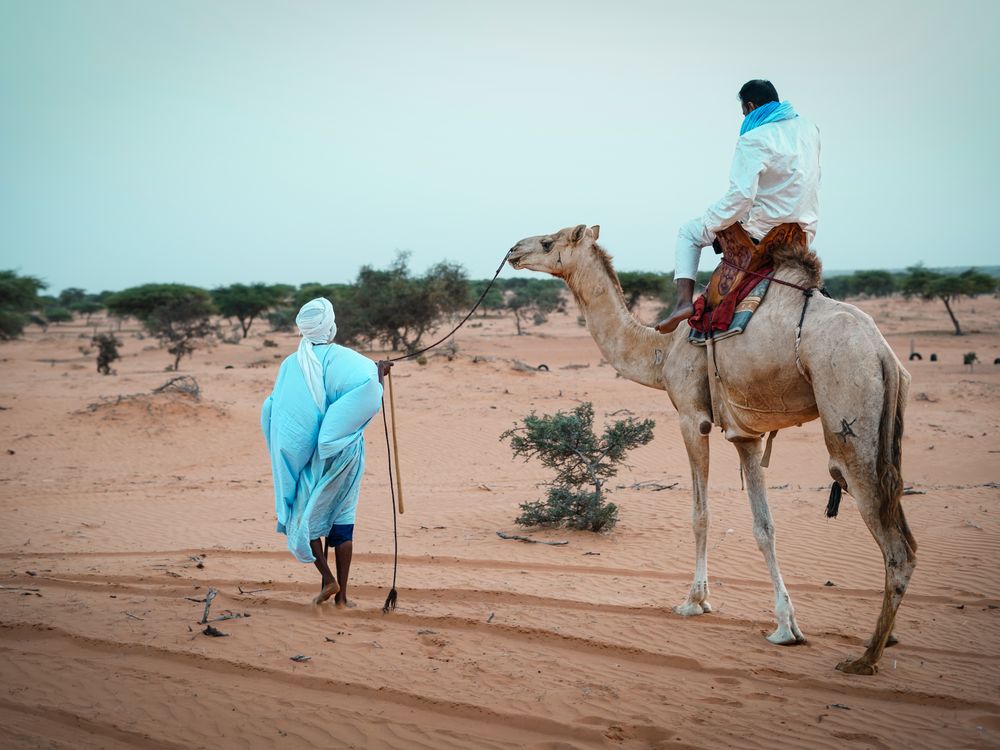 A man riding on a camel on the desert, Mauritania