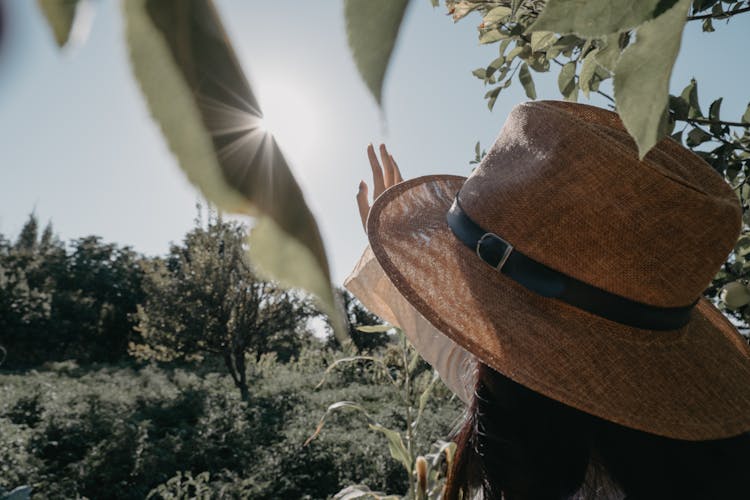 Woman Reaching Out Towards The Sun 