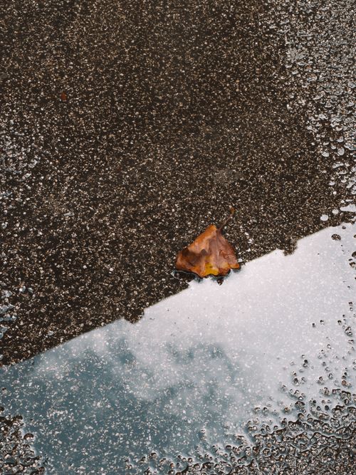 Free A lone brown leaf on a wet street reflecting the sky, capturing a serene autumn moment in London. Stock Photo