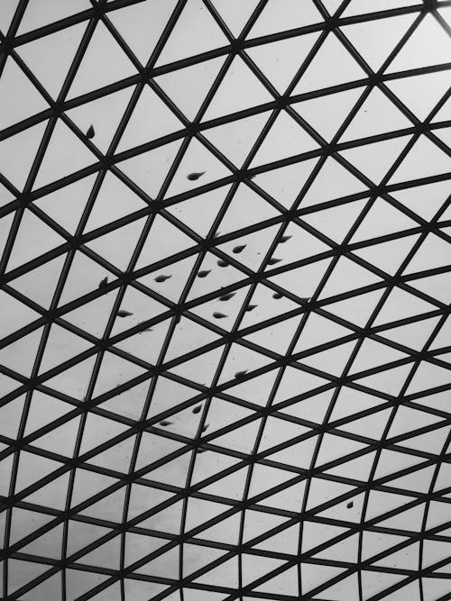 A Modern Glass Roof with a Geometric Pattern 