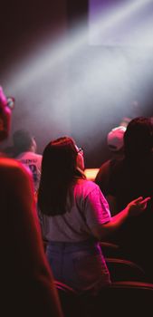 Back view of a group enjoying a concert with vibrant stage lighting.