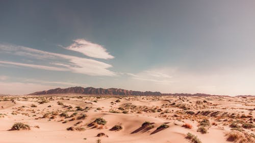 Foto profissional grátis de árido, clima árido, deserto