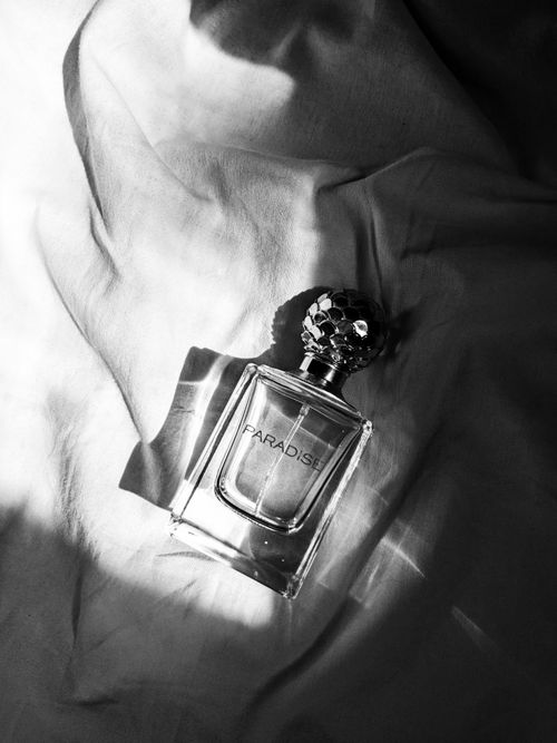 Free Elegant black and white perfume bottle on soft sheets, evoking luxury and sophistication. Stock Photo