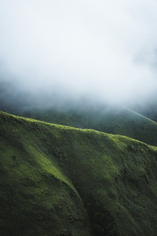 green hills background