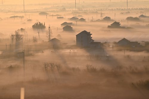 Foggy Landscape at Dawn 