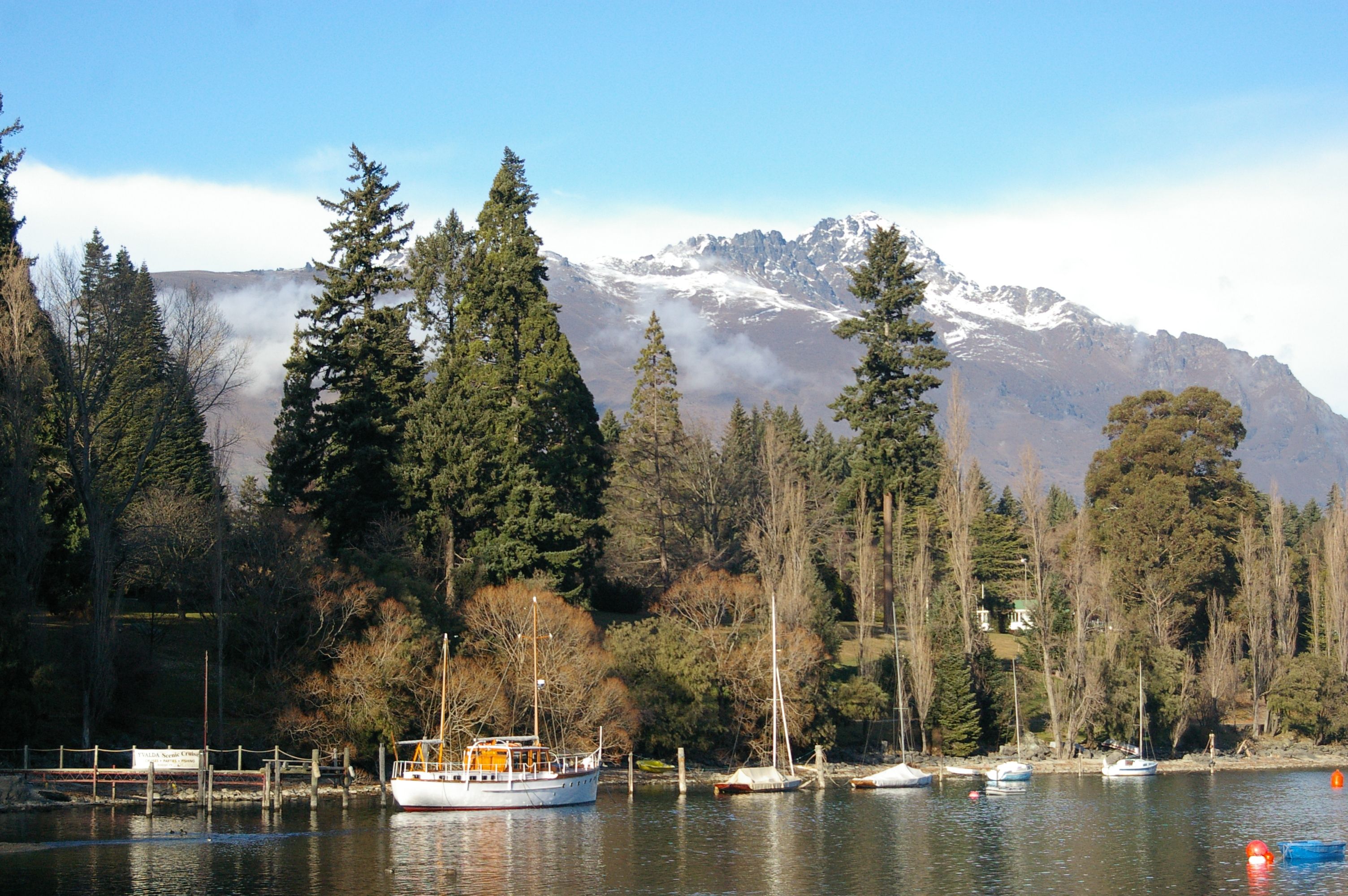 General Travel New Zealand hosts Indian travel agents on experiential famil — Photo by Kathie Kemmerer on Pexels
