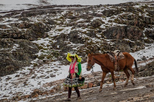 Δωρεάν στοκ φωτογραφιών με άλογο, βουνά, γυναίκα
