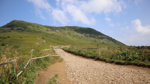 A Trail on a Grass Hill 