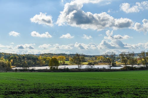 Immagine gratuita di alberi, campagna, cielo