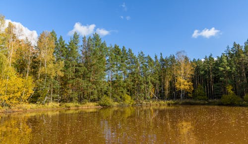 Ilmainen kuvapankkikuva tunnisteilla järvenranta, järvi, maisema