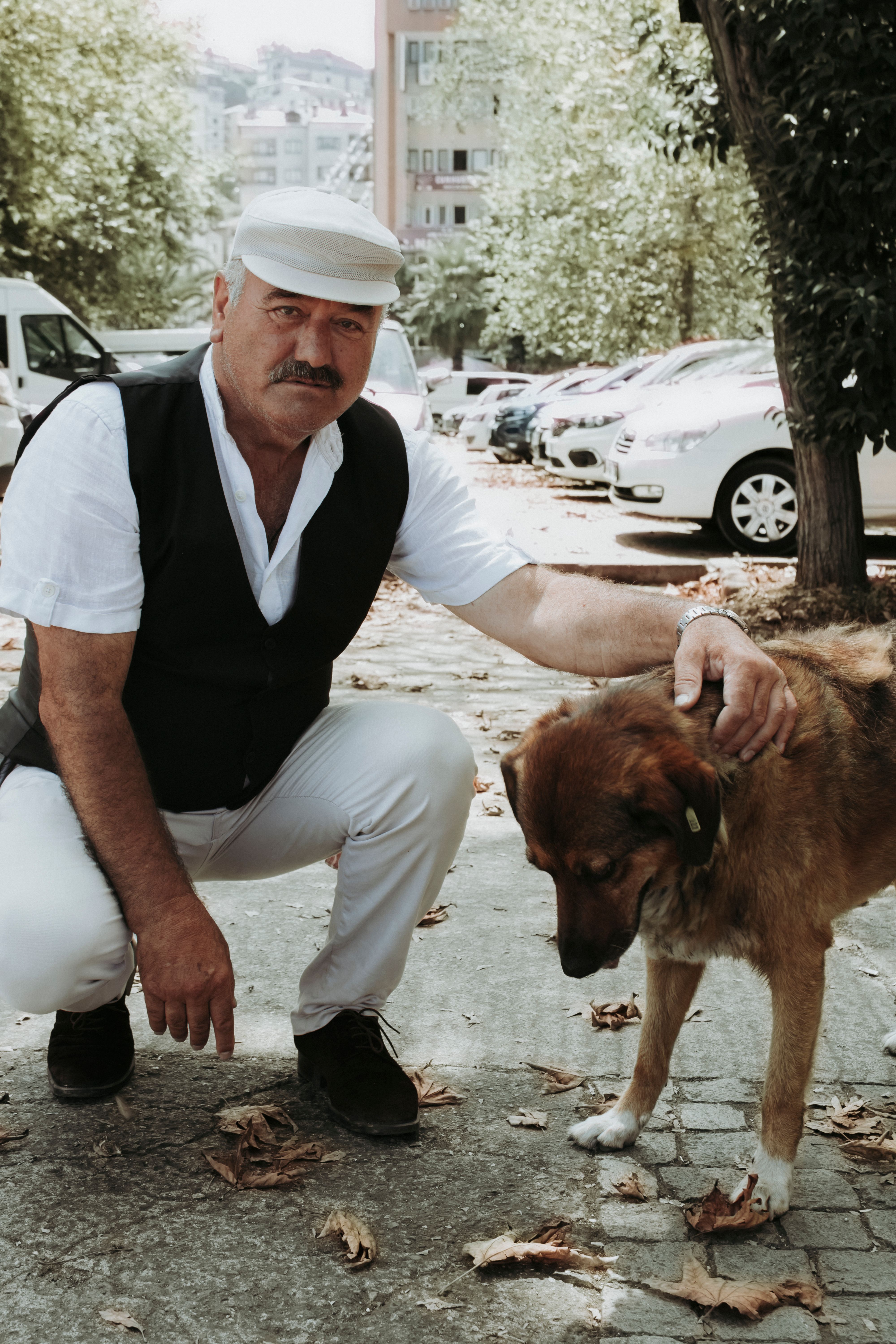 A man in a vest and ivy cap pets a dog on a city street, surrounded by parked cars.