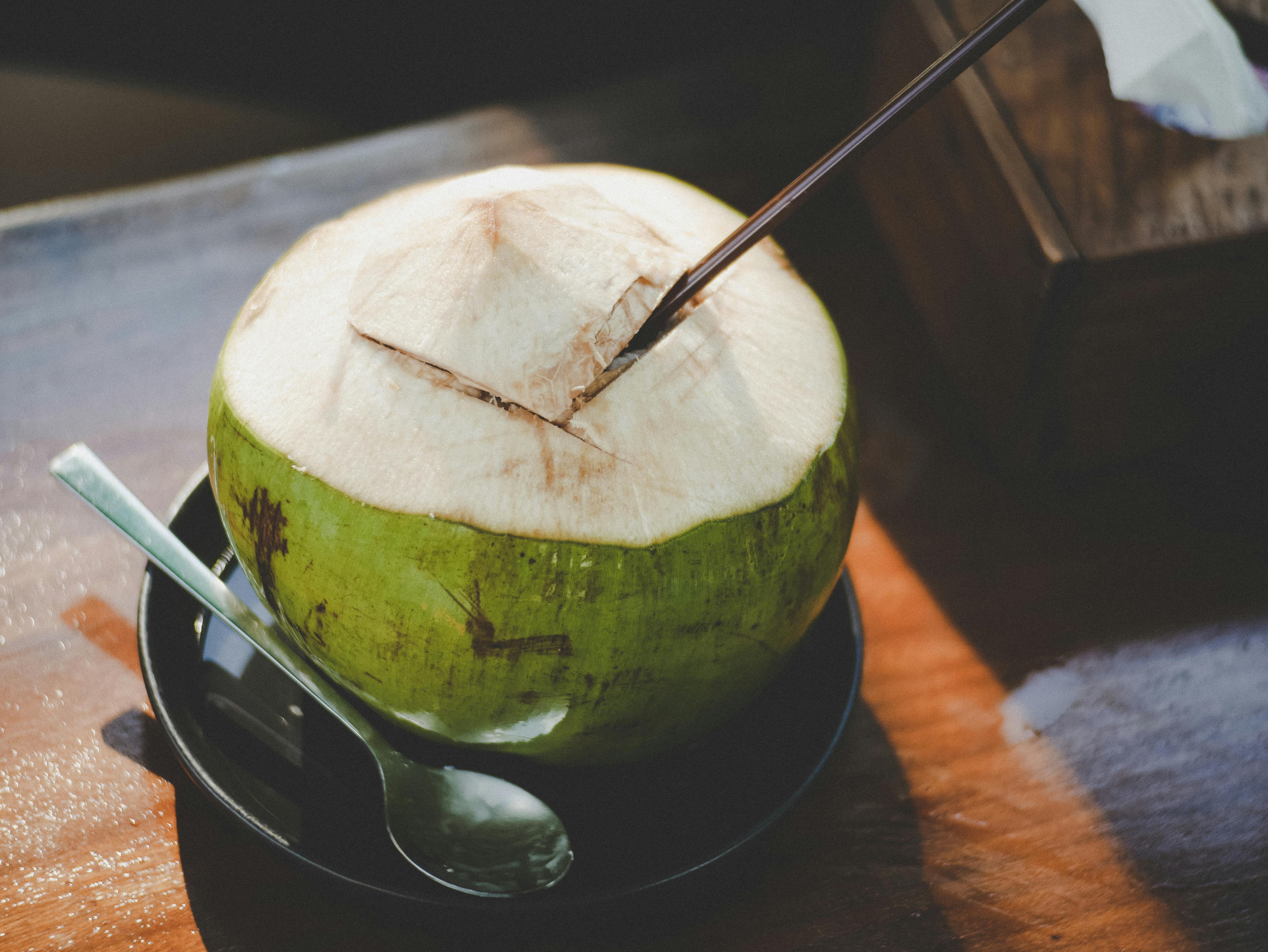 750 Coconut Pictures  Download Free Images on Unsplash