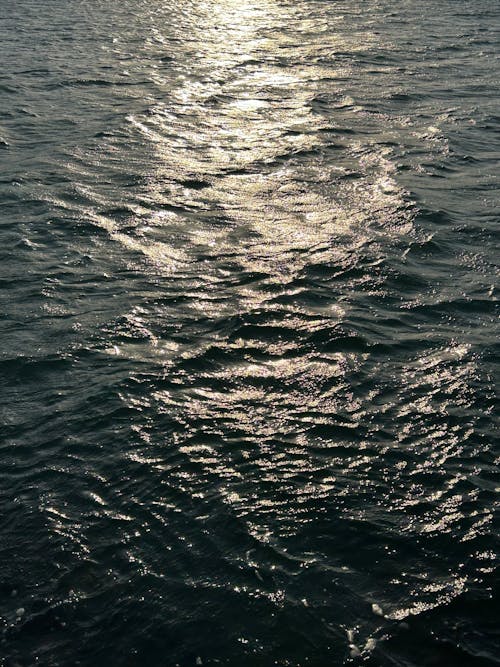 Immagine gratuita di increspare, luce del sole, mare