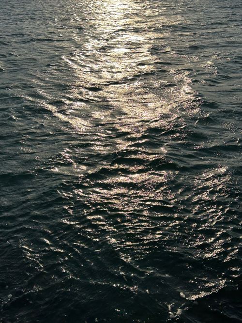 Free Glittering sunlight reflections on serene ocean waves, capturing natural beauty. Stock Photo