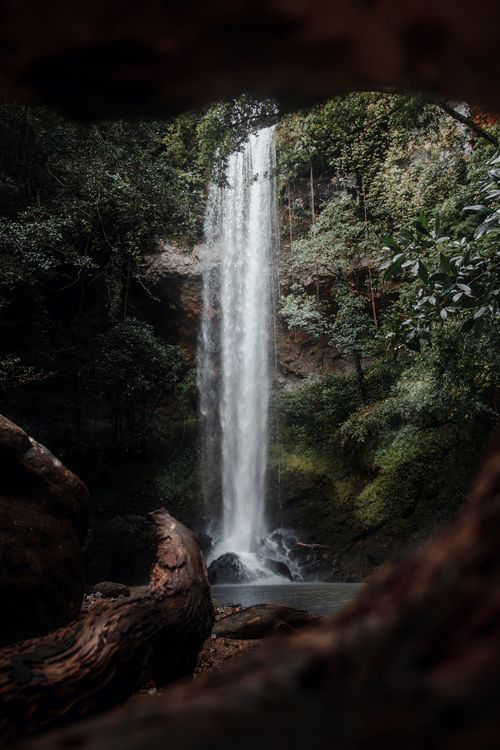 Free Stunning vertical shot of a waterfall cascading through a dense, lush forest, evoking tranquility and natural beauty. Stock Photo