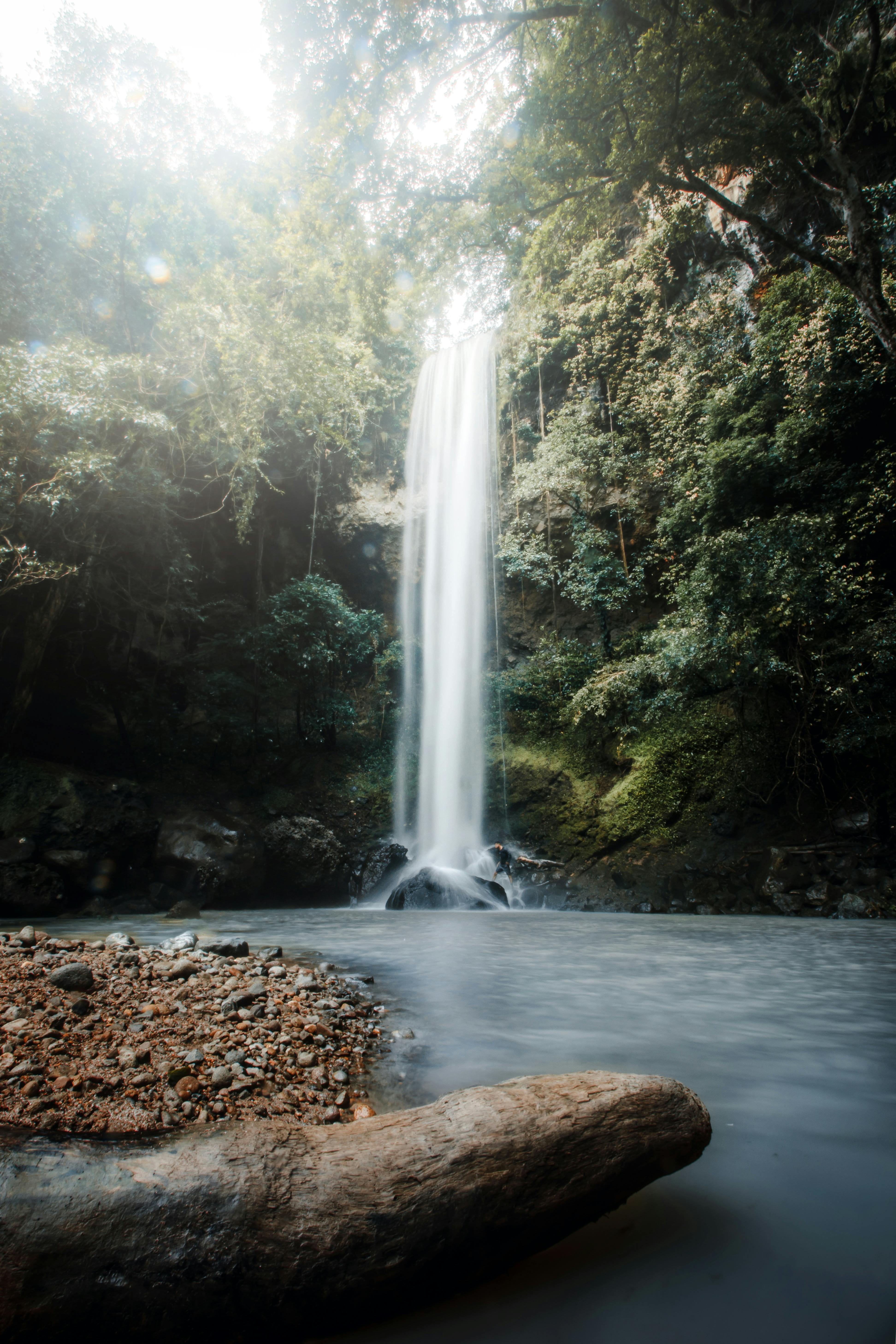 Tranquil waterfall cascading into a serene forest pool surrounded by lush greenery.