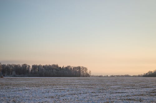 A field with snow and trees in the distance