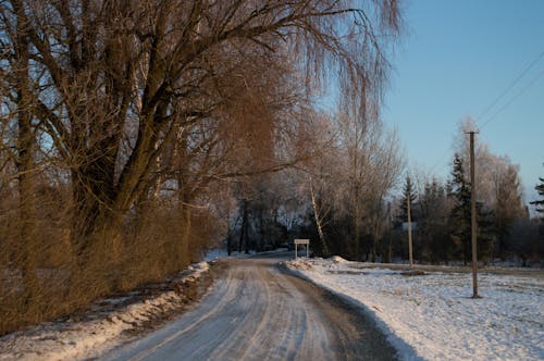 Gratis arkivbilde med baltic, daggry, desember
