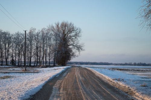 Free A serene winter landscape featuring a frosty road lined with trees in Šiauliai County, Lithuania. Stock Photo
