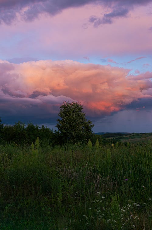 Scenic Cloudscape in the Evening