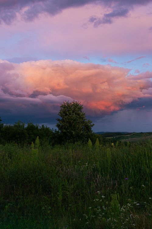 Free A breathtaking sunset with vibrant clouds over a lush Romanian countryside meadow. Stock Photo