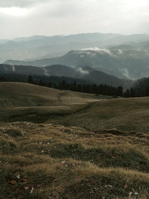 Immagine gratuita di campagna, colline, natura