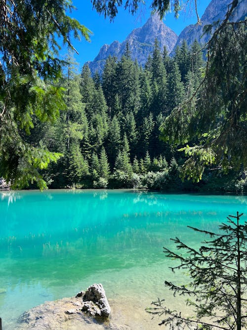 Fotos de stock gratuitas de bosque, lago, montañas