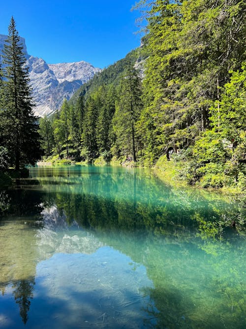 Fotos de stock gratuitas de bosque, lago, montañas