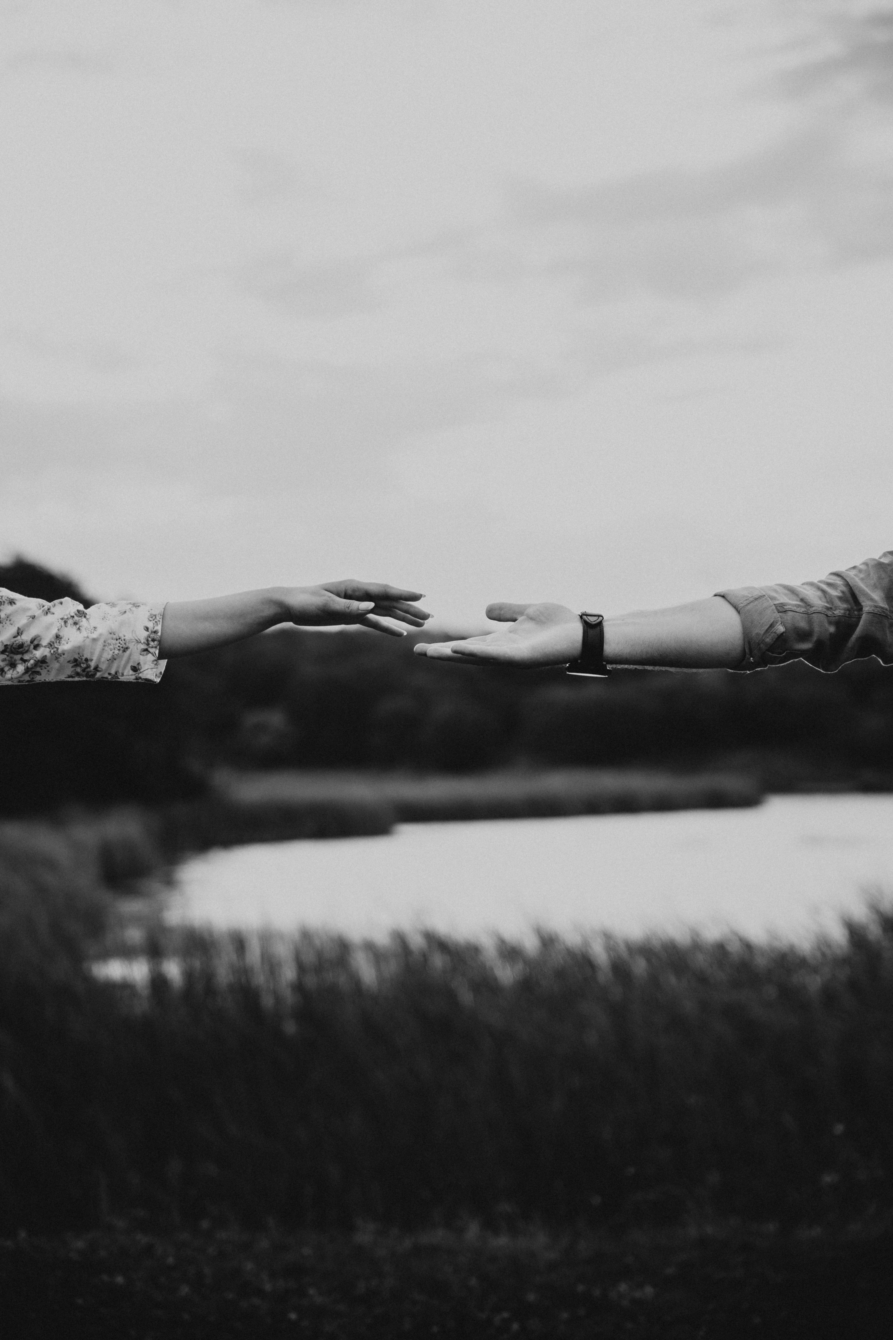 Romantic Black and White Hands Reaching Across · Free Stock Photo