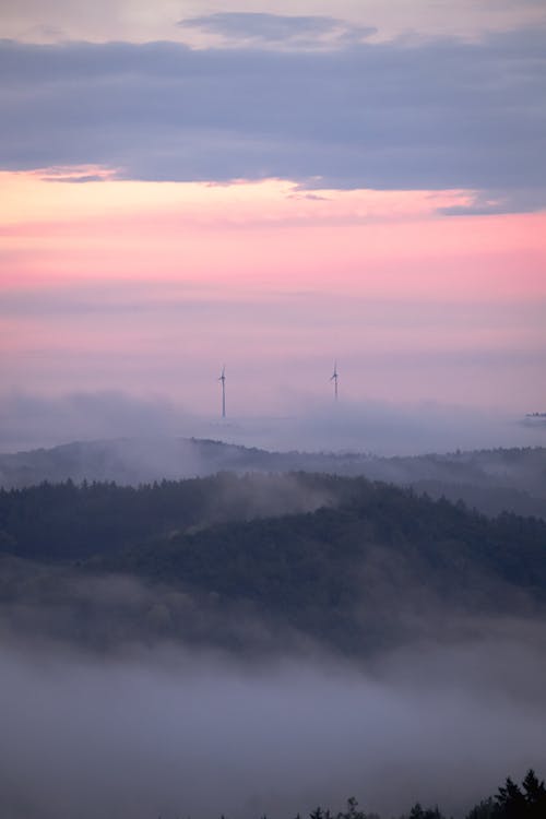 Foto d'estoc gratuïta de aerogeneradors, boira, bosc