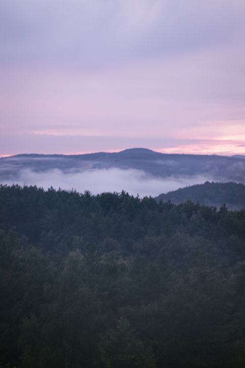 Free A serene twilight view of a misty forest and distant mountain range, capturing the tranquil beauty of nature. Stock Photo
