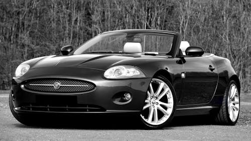 Δωρεάν στοκ φωτογραφιών με jaguar, xk, αγωνιστικό αυτοκίνητο