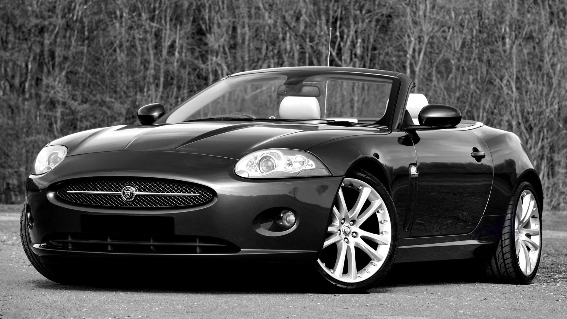 Black convertible Jaguar sports car in a stylish outdoor setting.