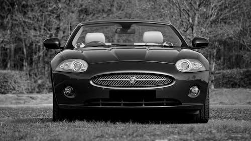 Gratis lagerfoto af bil, gråtoneskala, jaguar