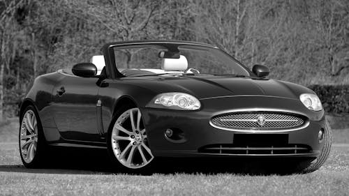 Black and White Photo of a Jaguar XK