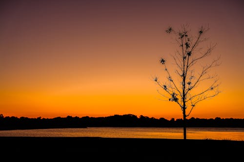 Gratis arkivbilde med dramatisk himmel, klar, kveld