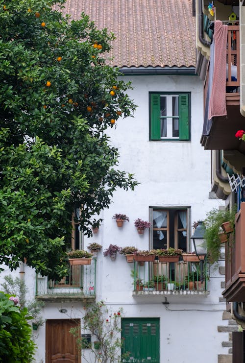 Free Beautiful Mediterranean-style building with vibrant greenery and charming architectural details. Stock Photo