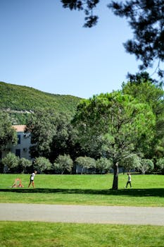 Two boys playing soccer in a sunny park, surrounded by trees and greenery.