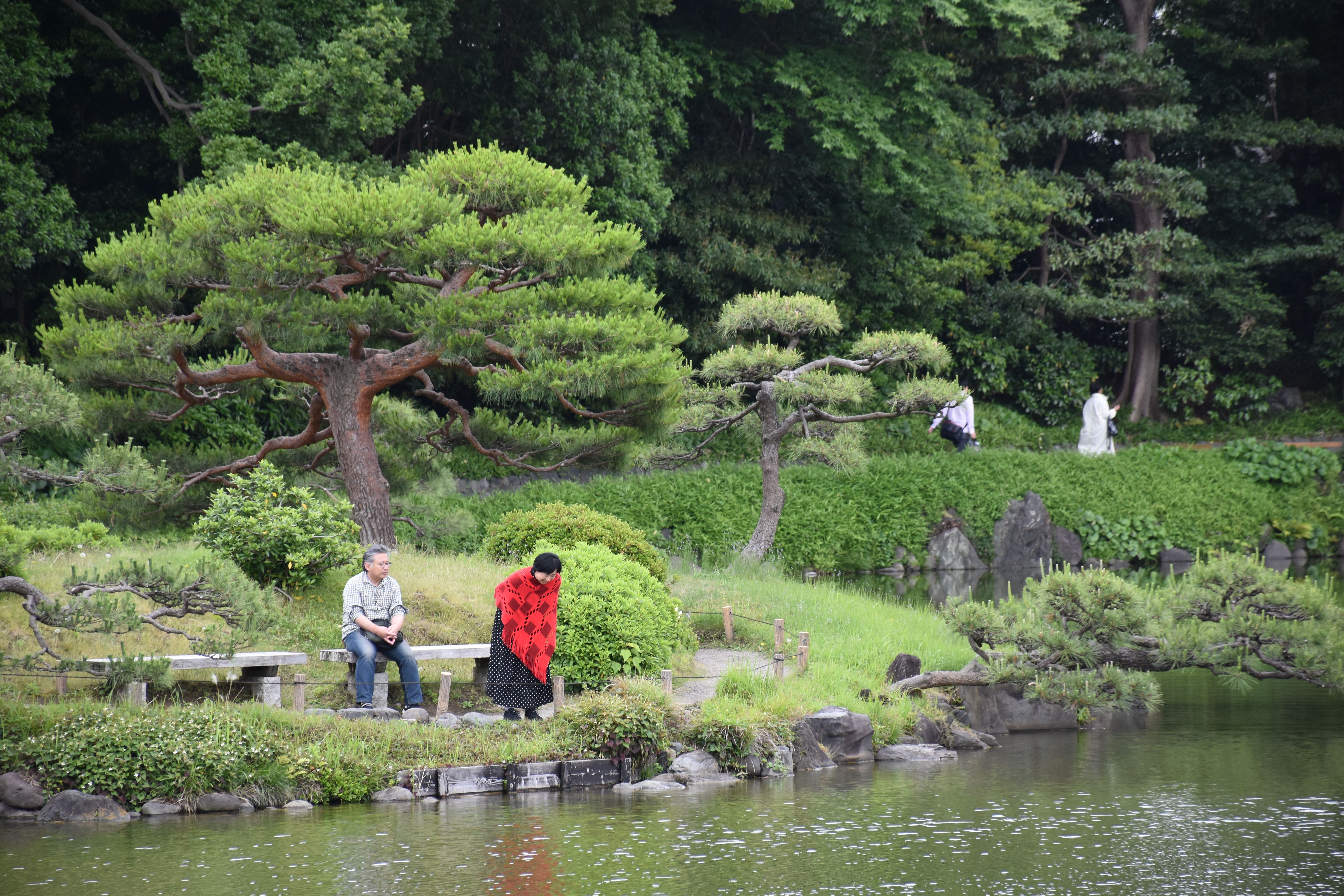 A peaceful scene in a Tokyo garden with seniors enjoying a relaxing afternoon.