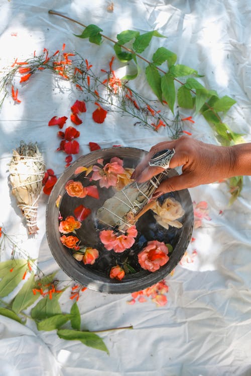 Kostnadsfri bild av blommor, håller, hand