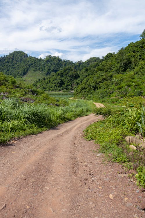 An Unpaved Road in the Countryside