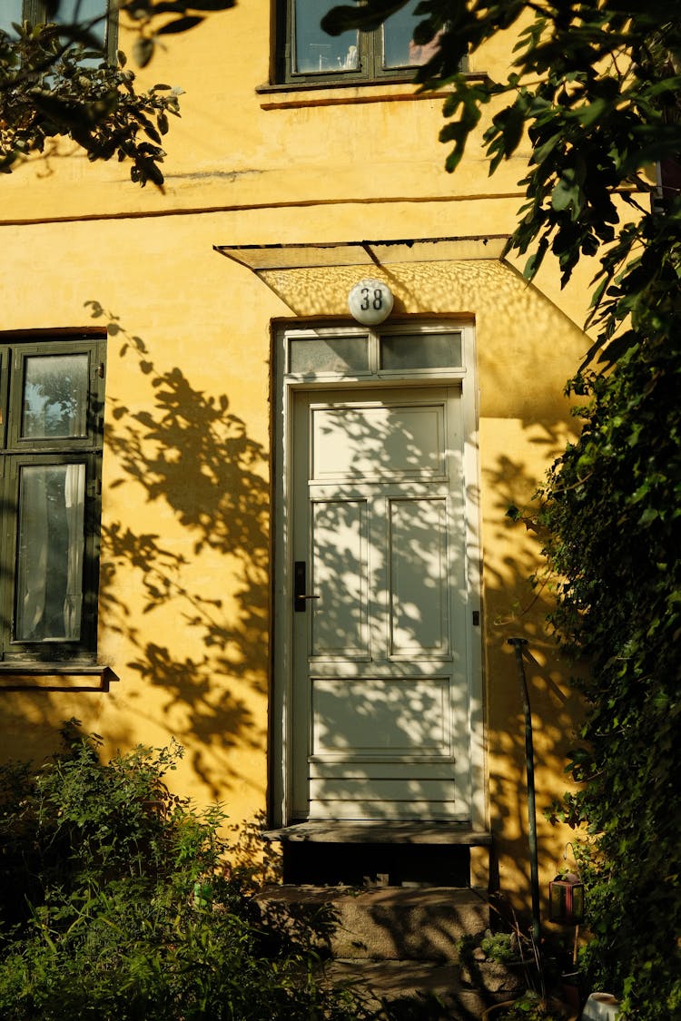 Door And Windows