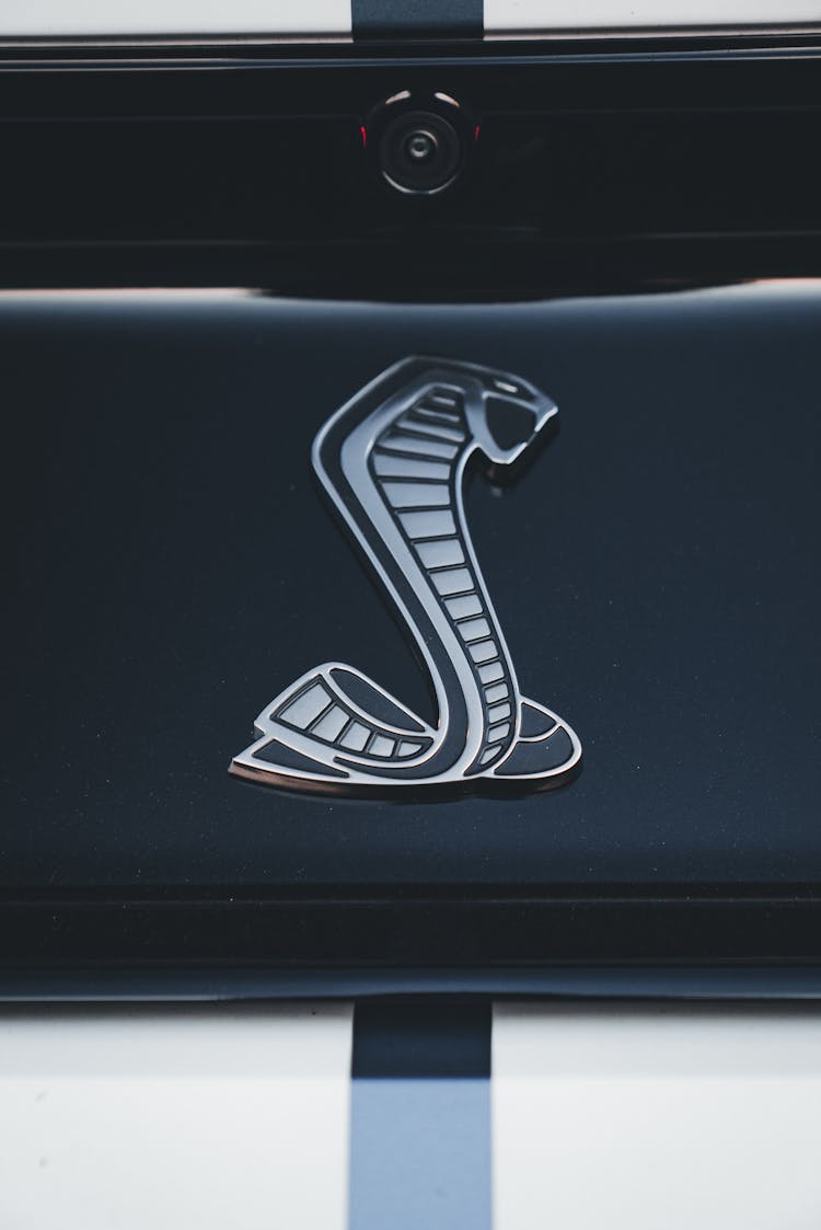 Cobra Snake Sticker